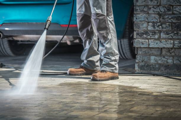 Best Soft Washing  in Holly Hill, SC