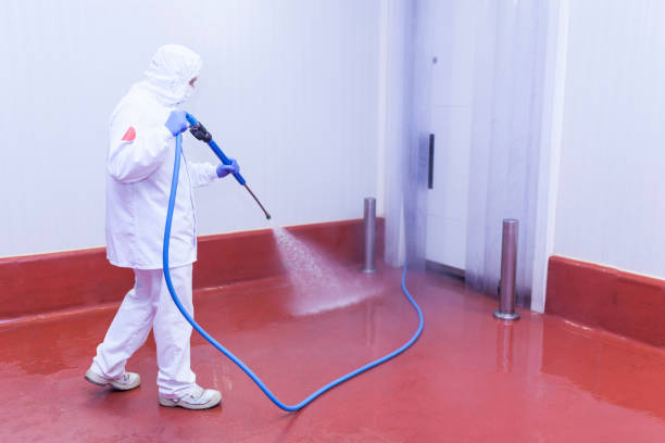  Holly Hill, SC Pressure Washing Pros