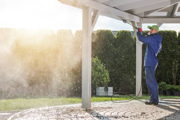 Best Driveway Pressure Washing  in Holly Hill, SC