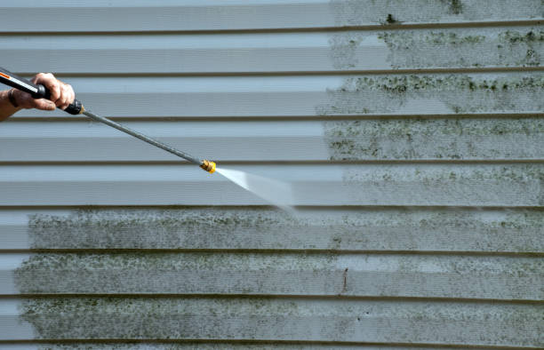 Solar Panel Cleaning in Holly Hill, SC
