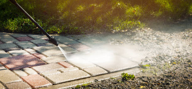 Best Oil Spill Cleanup  in Holly Hill, SC